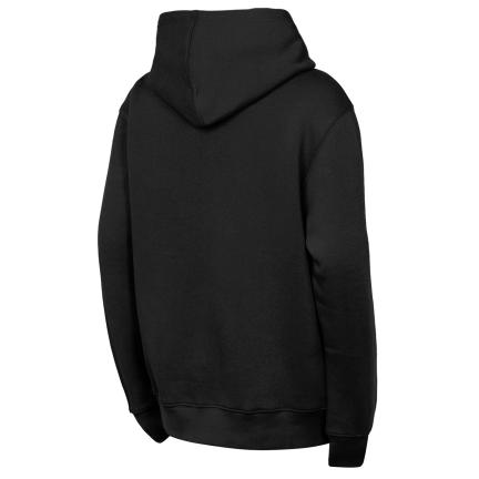 Youth San Francisco Giants Back To Basics Fleece Hoodie