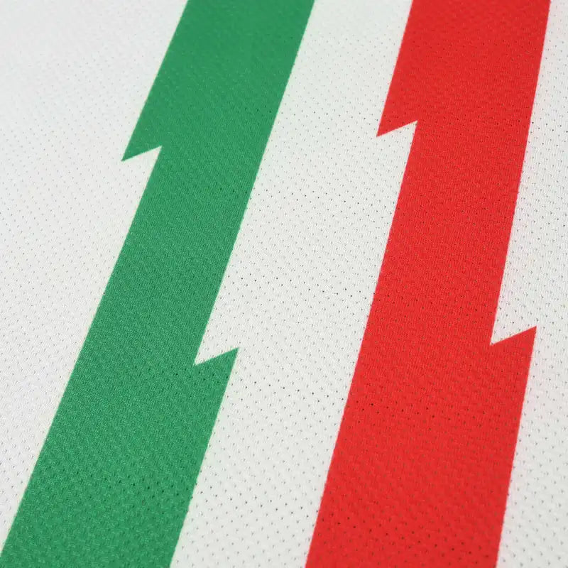 Juventus F.C. Away Retro Fan Version 10/11 Season Jersey