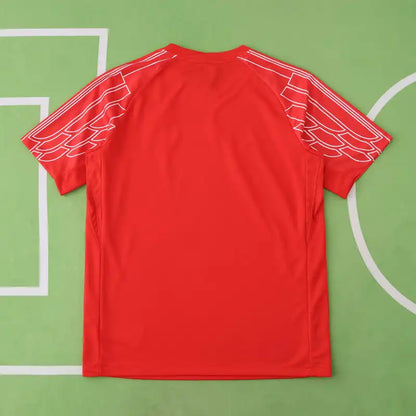 Paris Saint-Germain F.C. Fourth Fan Version 24/25 Season Jersey