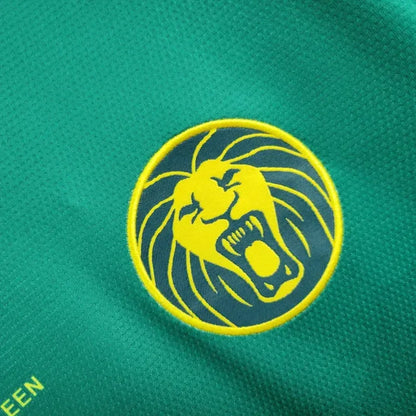 cameroon home jersey 2025 football kit soccer jersey