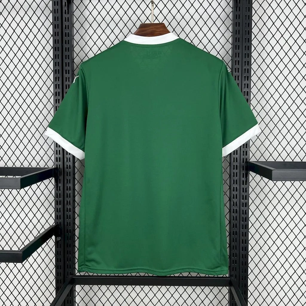 palmeiras jersey 25/26 home football kit soccer jersey